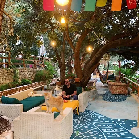 营地 坎莫卡普酒店