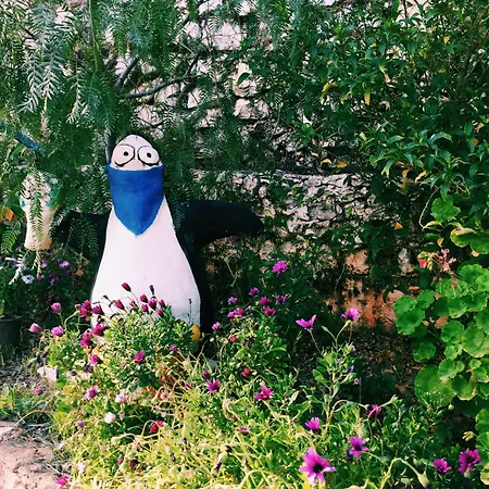 坎莫卡普酒店 营地 卡斯