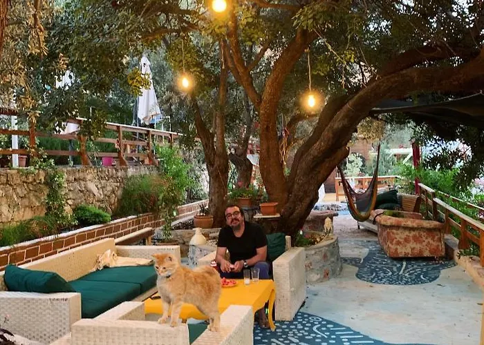 Parque de Campismo Mocamp