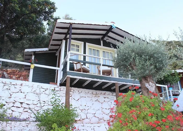 Mocamp Parque de Campismo