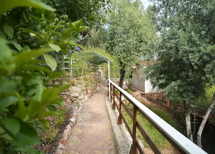 Mocamp Campingplads Kaş